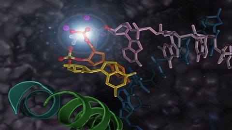 Backtracking for Accurate Gene Transcription