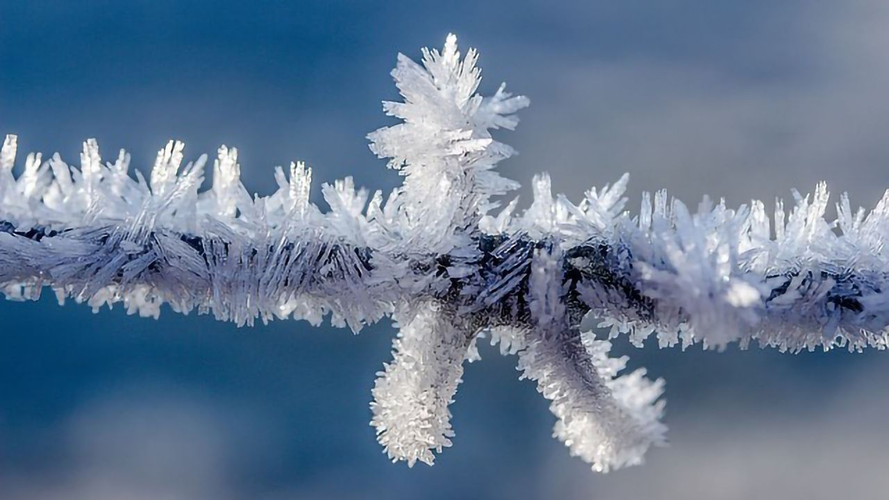 Ice Kept at Bay by Phase-switching Liquids