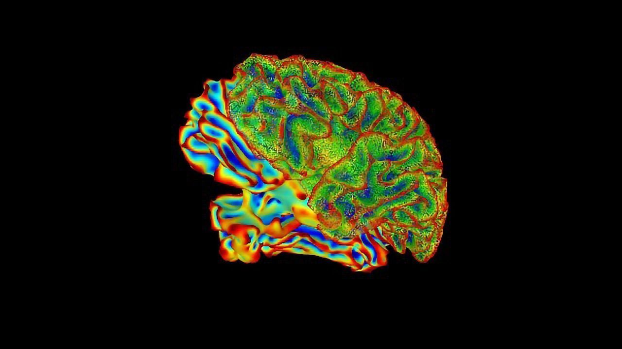 Protein Gives Insight Into Charcot-Marie-Tooth Disease