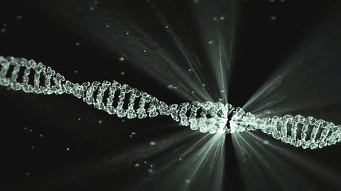 New Guidelines Push for Better Controlled Experiments with Synthetic Nucleic Acids