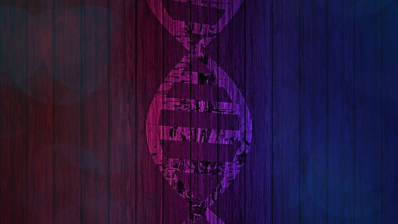Why Is Lupus Biased Towards Women?