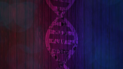 Why Is Lupus Biased Towards Women?