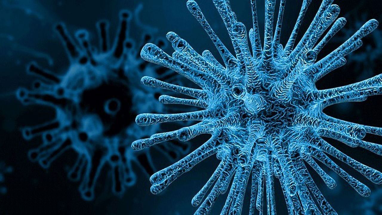 Vaccine Has "Almost Wiped Out" Cervical Pre-cancer