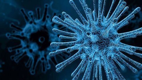 Vaccine Has "Almost Wiped Out" Cervical Pre-cancer
