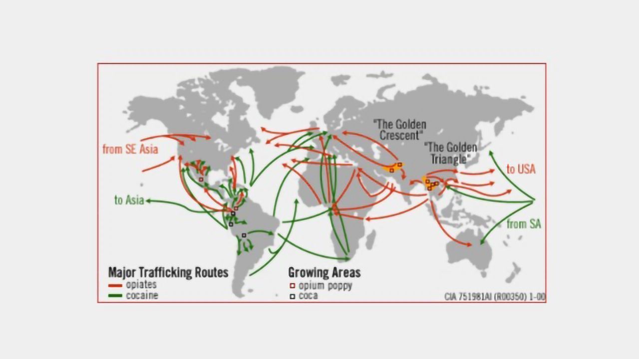 How 5 Decades of the War on Drugs Has Spread Drug Trafficking
