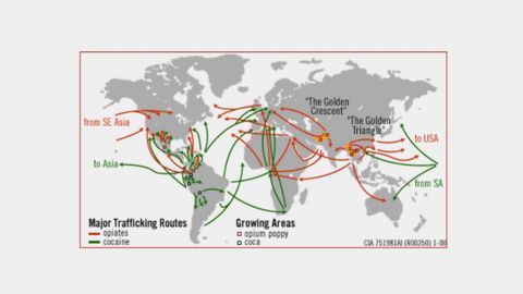 How 5 Decades of the War on Drugs Has Spread Drug Trafficking