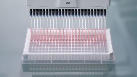 Eppendorf AG Increases Sales and earnings in 2018 and Accelerates Organic Growth