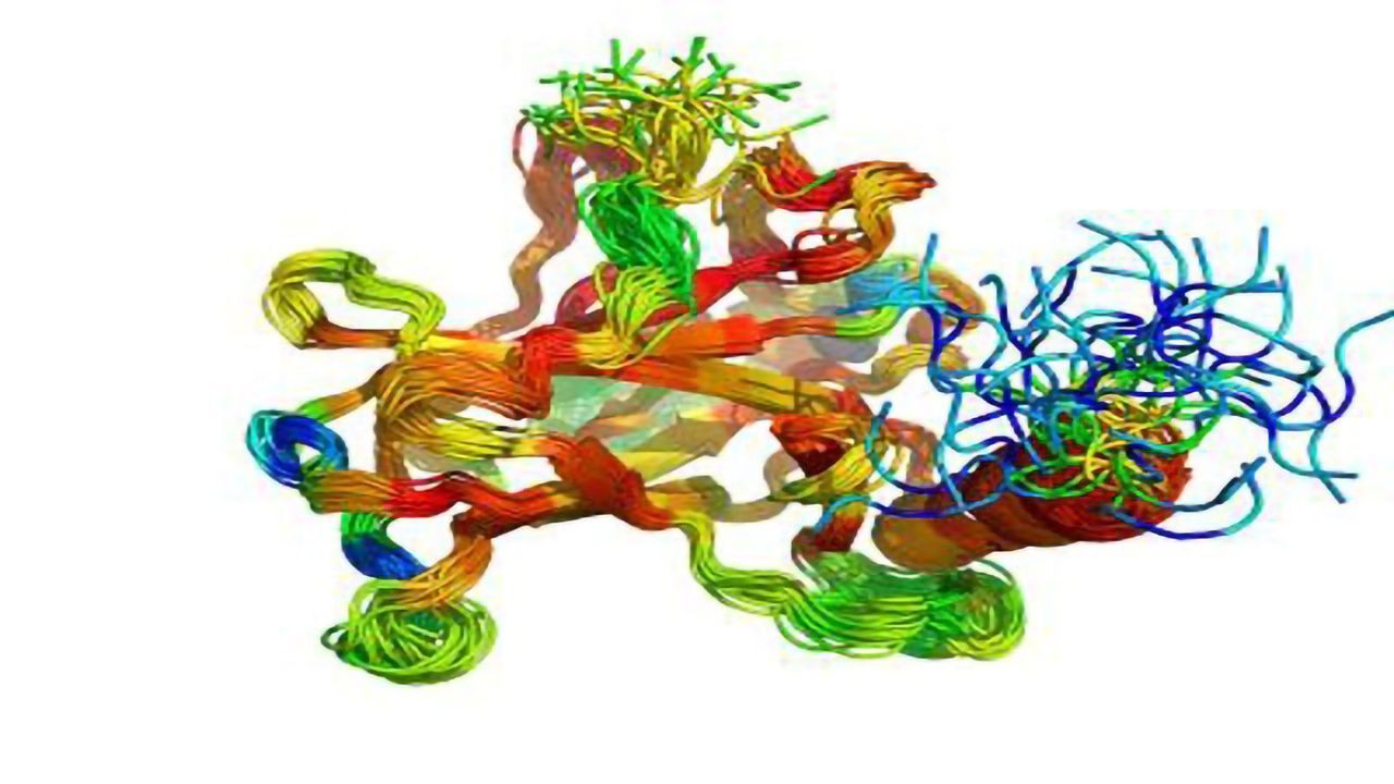 Just How Good Are Protein Disorder Prediction Programs?
