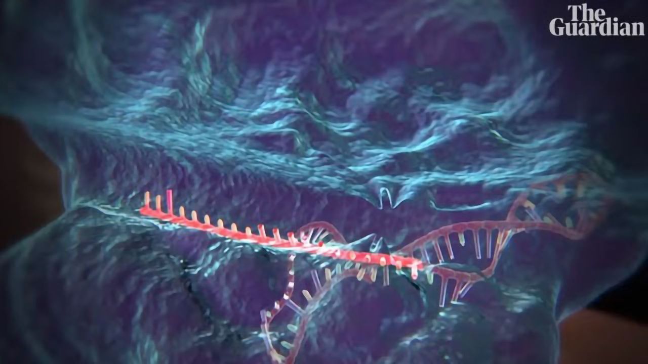 Crispr-Cas9 Explained: The Biggest Revolution in Gene Editing