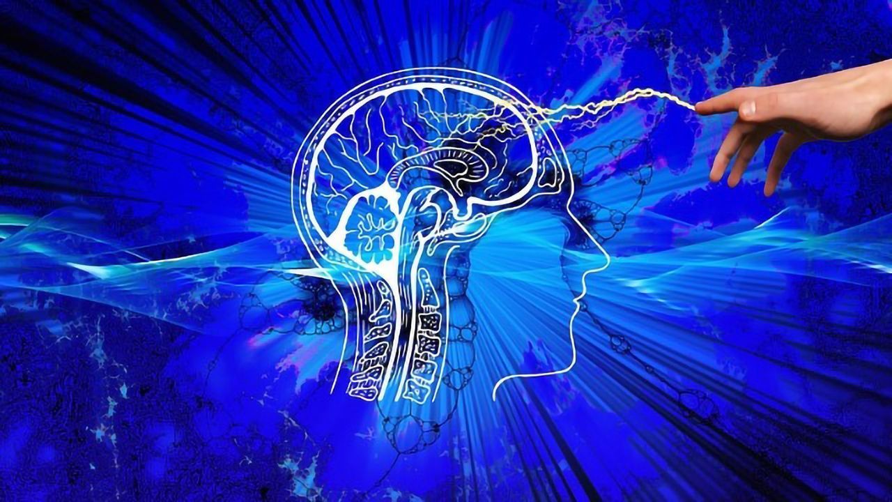 Psychedelic Drug MDMA May Reawaken ‘Critical Period’ in Brain to Help Treat PTSD
