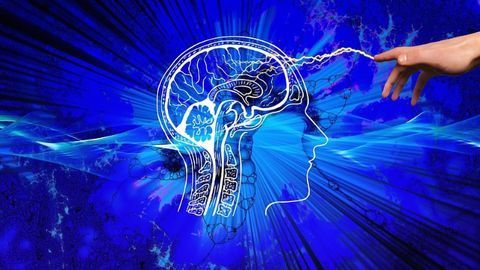 Psychedelic Drug MDMA May Reawaken ‘Critical Period’ in Brain to Help Treat PTSD