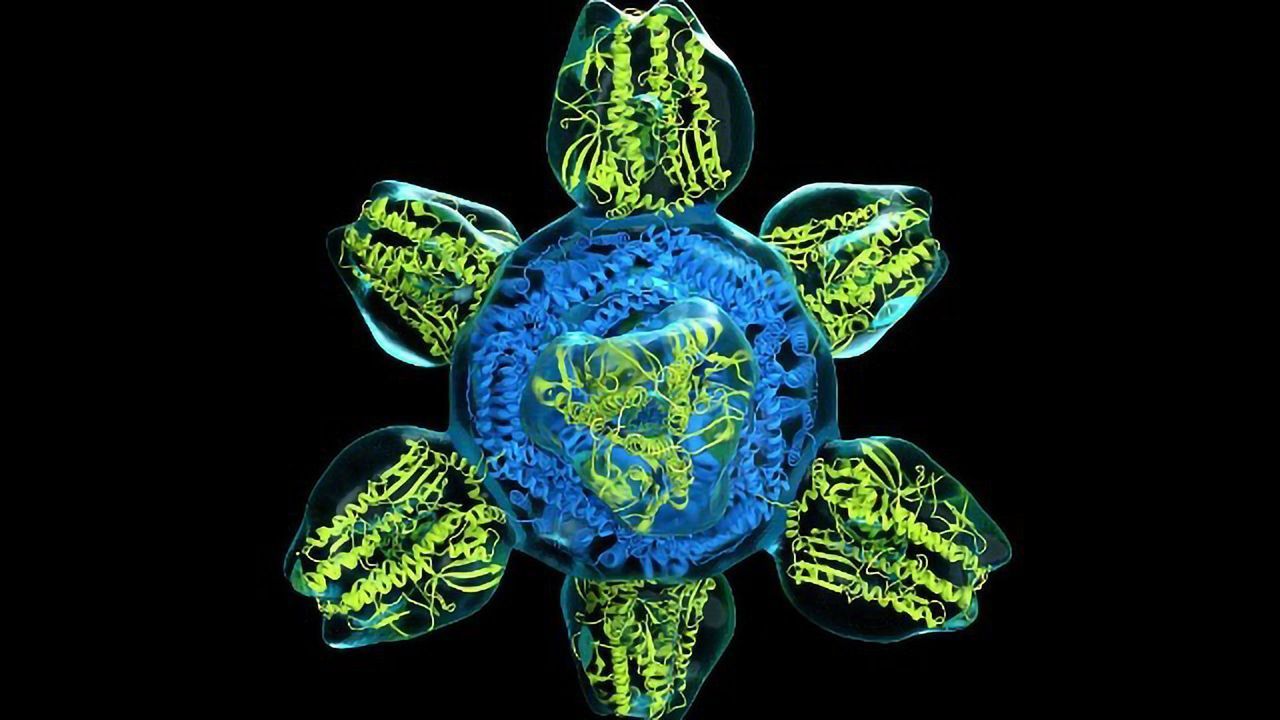 Influenza Vaccine Research Progress and Opportunities Go Under the Magnifying Glass