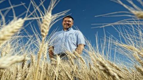 The Genetic Blueprint of Pasta Is Unraveled