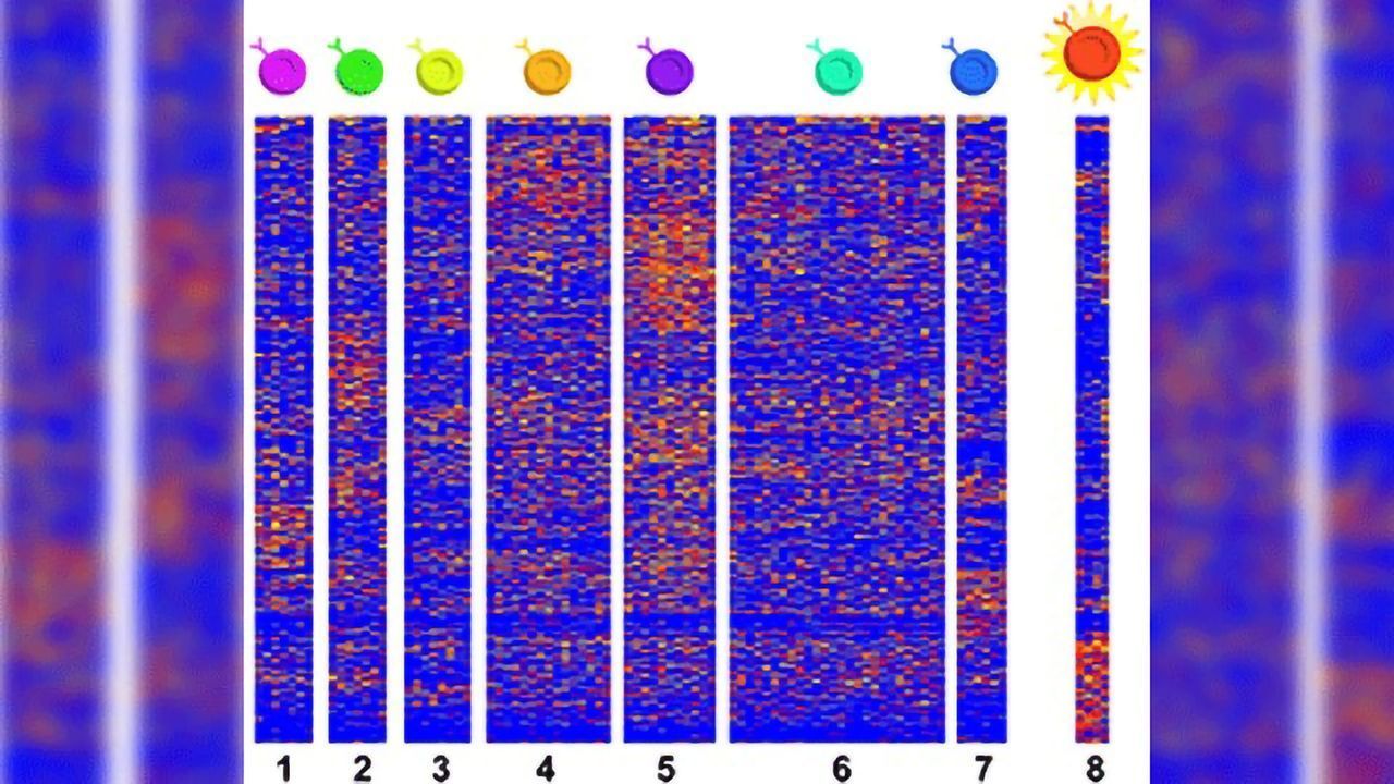 Cellular Drivers of Painful Childhood Food Allergy Characterized