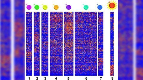 Cellular Drivers of Painful Childhood Food Allergy Characterized