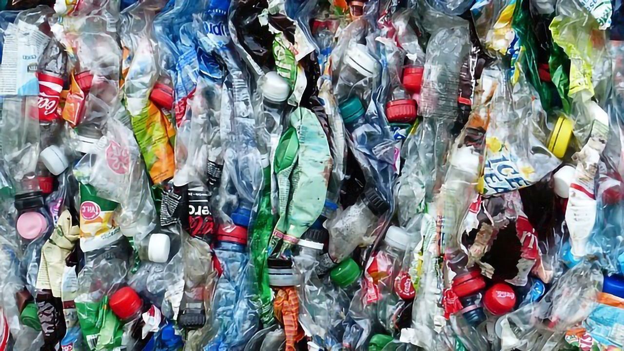 Potential for Earth-friendly Plastic Replacement