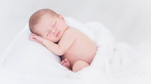 Famous p53 Gene Also Protects Against Birth Defects