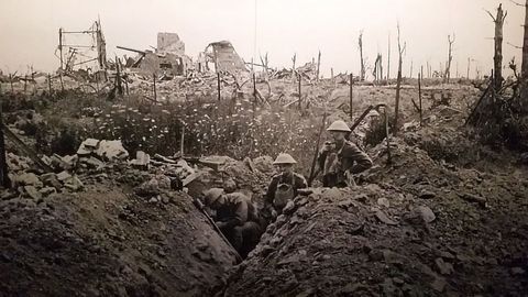 History Unraveled As WW1 Cholera Genome Is Sequenced