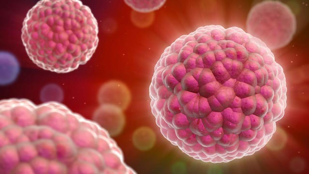 A Further Dimension to Drug Discovery: Combining 3D Culture With iPSCs