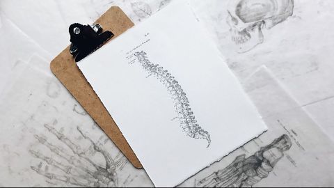 Signals From Below Are Essential in Spinal Cord Repair