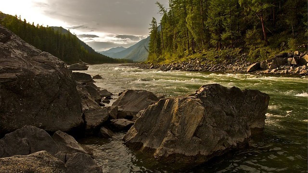 Banned Pesticides Found in Europe’s Rivers