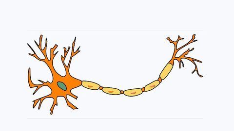 18% of MS Patients in Study Misdiagnosed