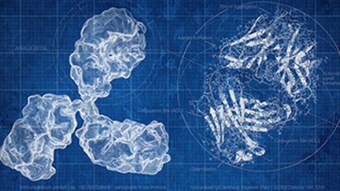 Thermo Fisher Scientific Announces Collaboration to Advance Biopharmaceutical Characterization and Monitoring Methods