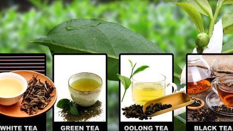 The Chemistry Behind Different Tea Flavors