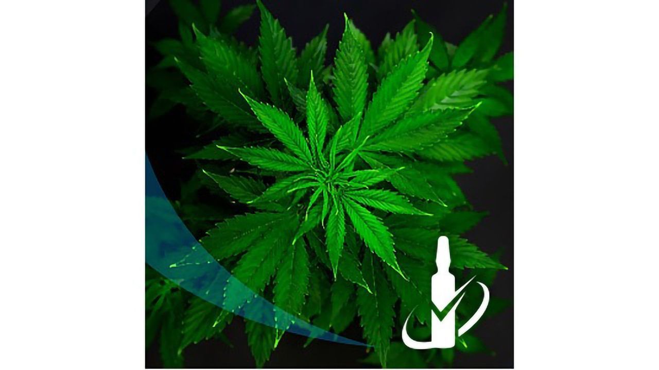New CBGA Reference Standard for Your Cannabis Potency Testing Program