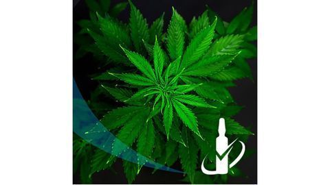 New CBGA Reference Standard for Your Cannabis Potency Testing Program