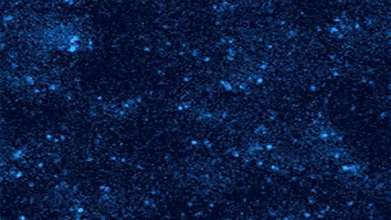 Twinkling Stars or DNA?