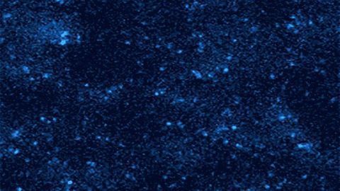 Twinkling Stars or DNA?