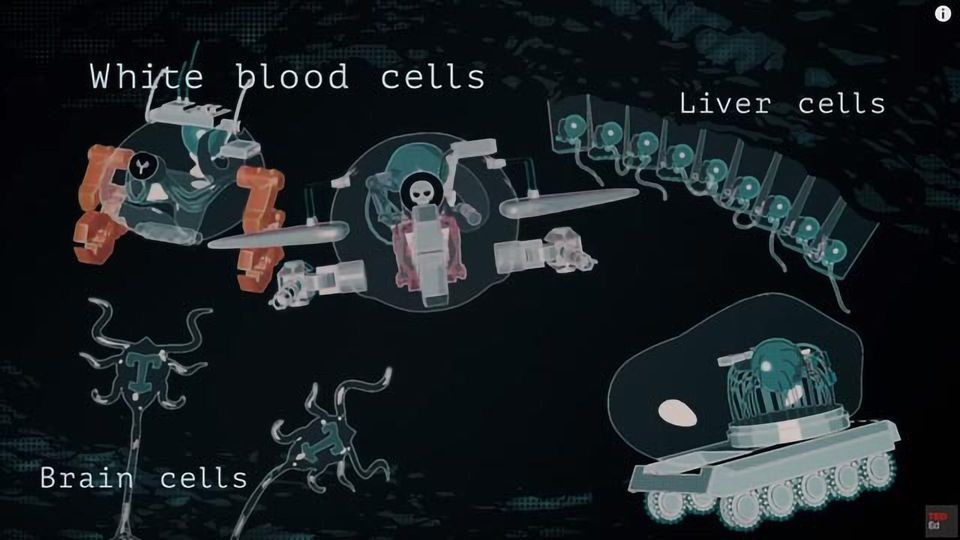 Biohacking Your Cells to Fight Cancer content piece image