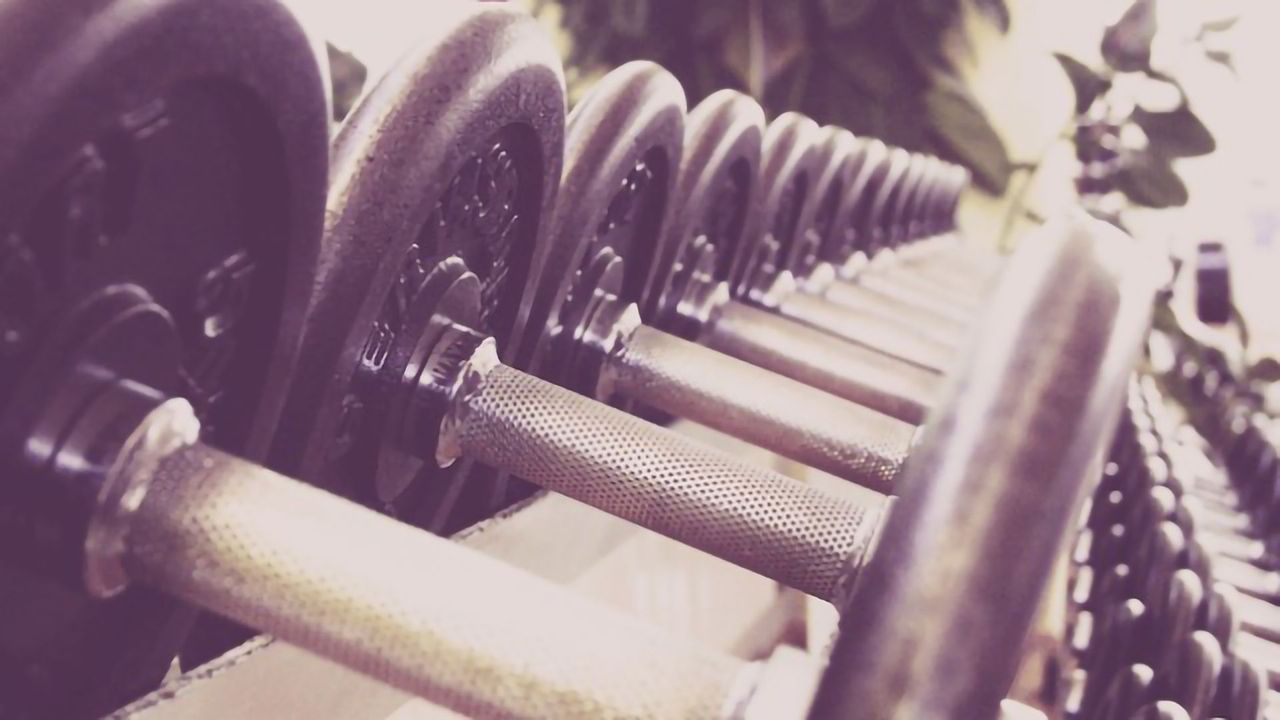 GH Also Key to Neuroendocrine Adapation to Weight Loss