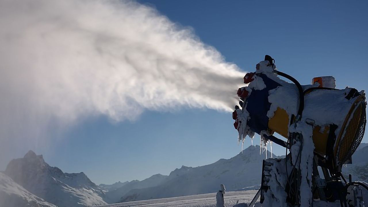 Bacteria and Insects Can Control Ice Formation