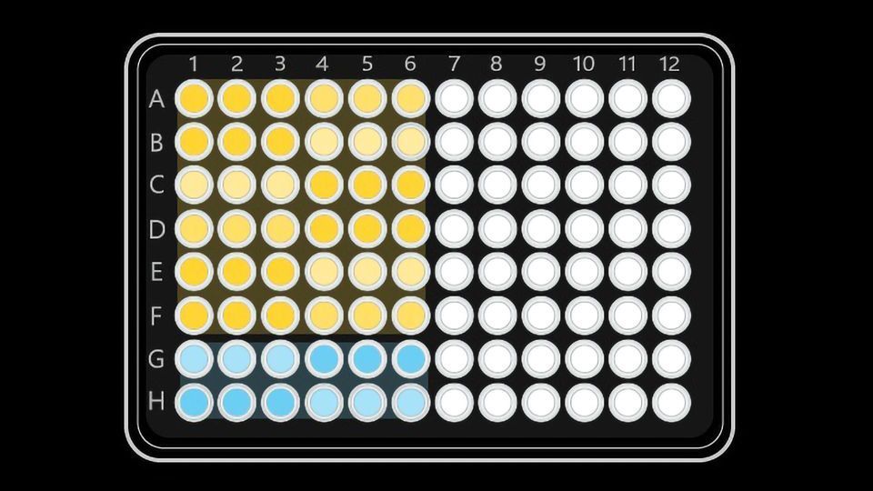 A multi-well plate. Half of the wells are filled, most in yellow and some in blue.