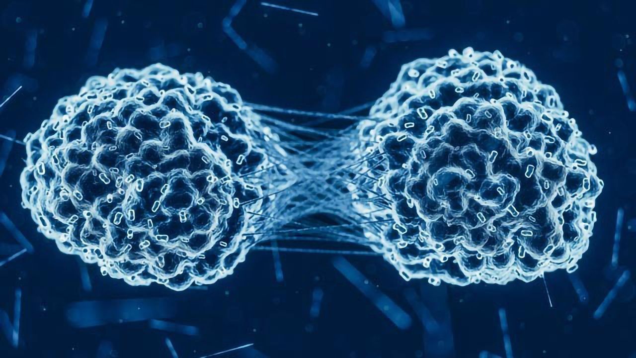 Preclinical Modeling of Tumor Metastasis and Resistance: Current Challenges and New Approaches