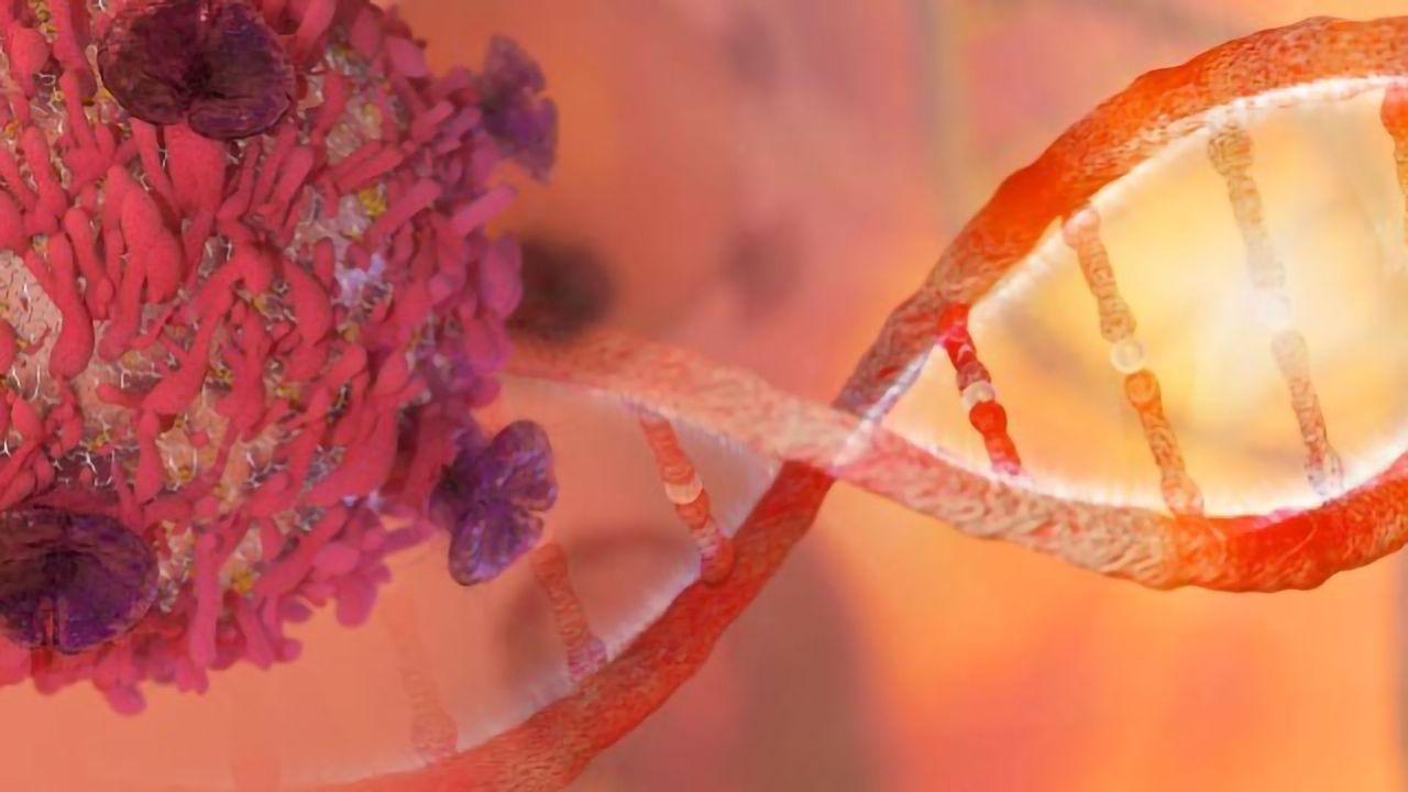 Converting Silenced Cancer Genes Back Into Fighters