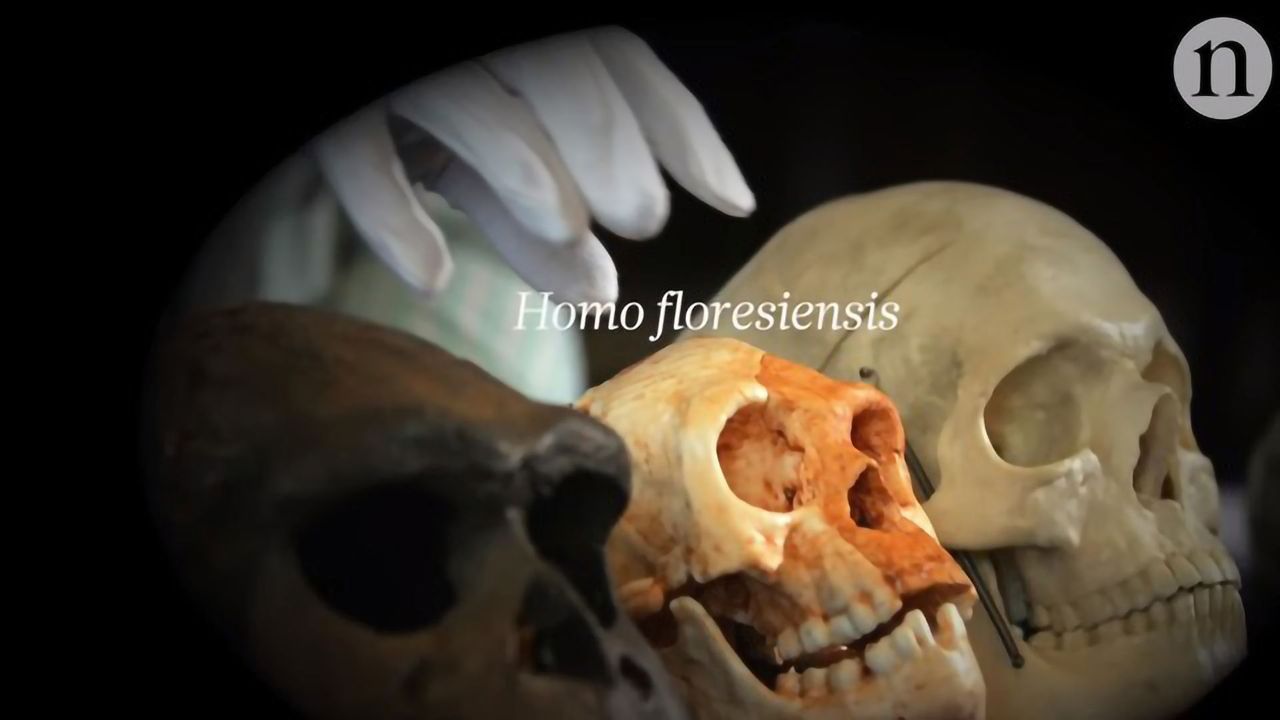 New Human Species Found in the Philippines