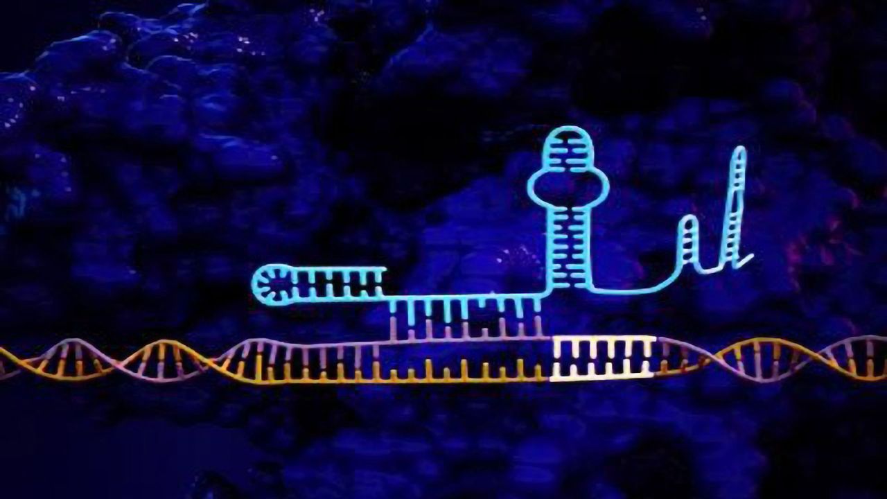 Engineering Accuracy in CRISPR