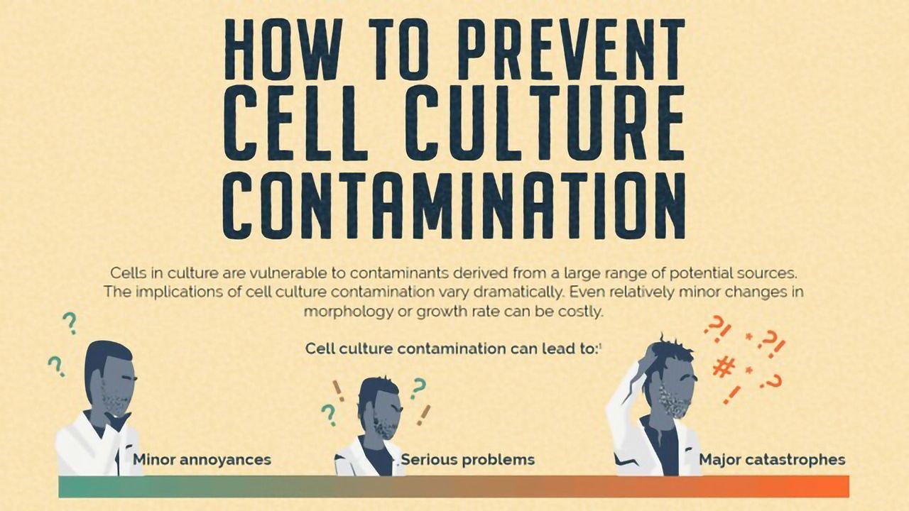 How To Prevent Cell Culture Contamination