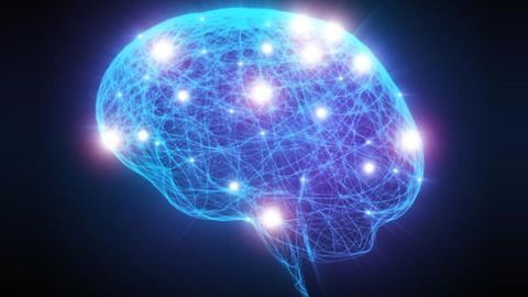 “Reverse Engineering” Brain Cancer Stem Cells to Expose Their Vulnerabilities
