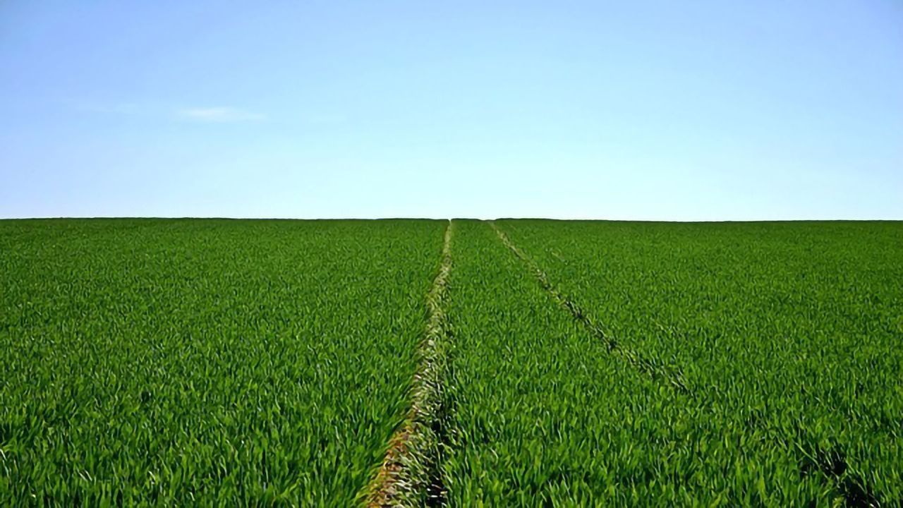 An Epigenetic Approach to Tackling World Hunger?