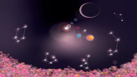 The Leukemia Atlas: A Guide to Proteins That Signal Disease