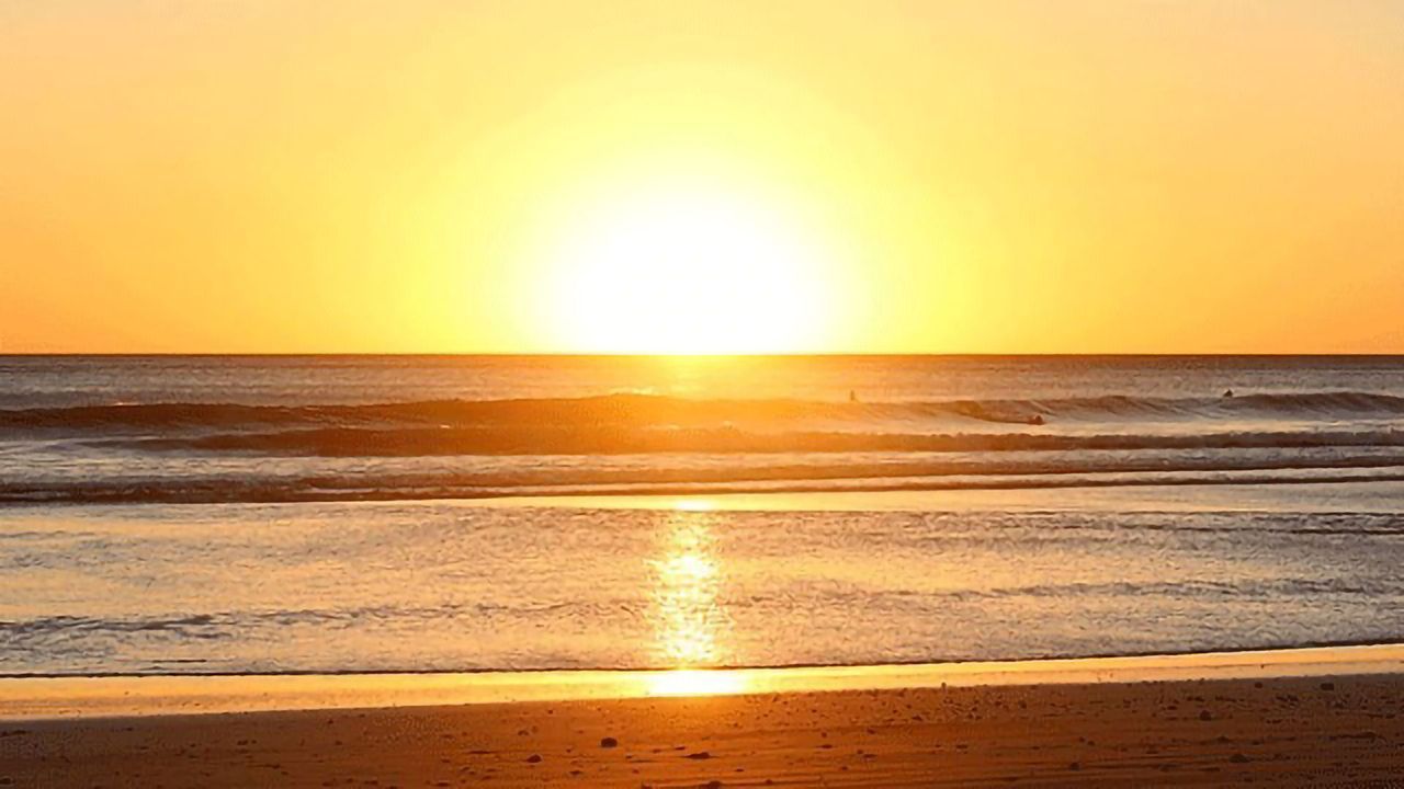 Vitamin D Metabolites Influence T Cell Priming