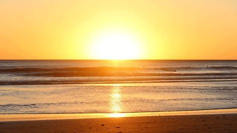Vitamin D Metabolites Influence T Cell Priming