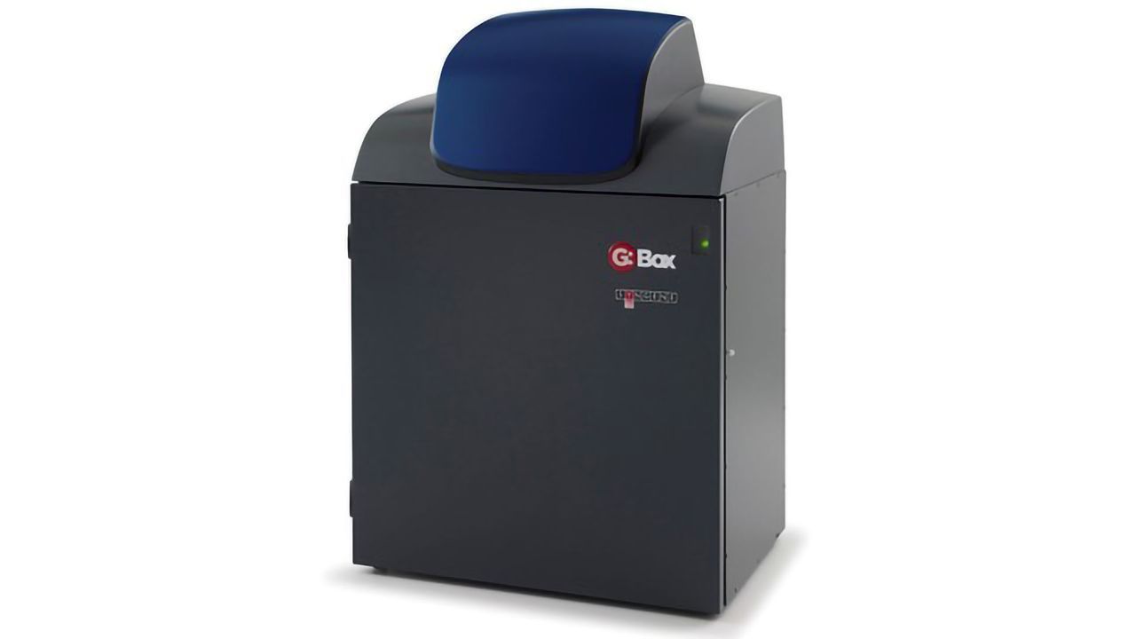 Anglia Ruskin University Successfully uses Syngene Imaging System For Teaching Applications and to Study Proteins Implicated in Diseases