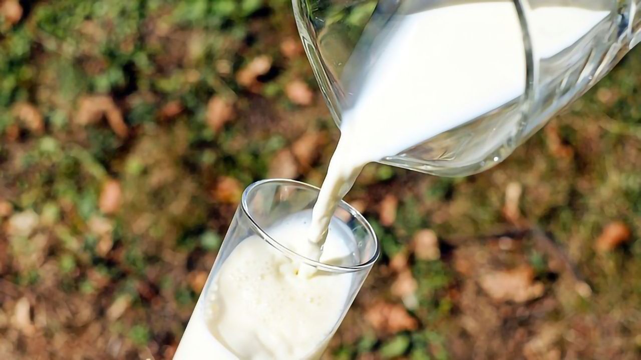 Got Cow's Milk Covered