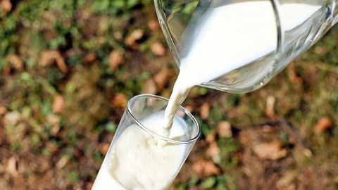 Got Cow's Milk Covered