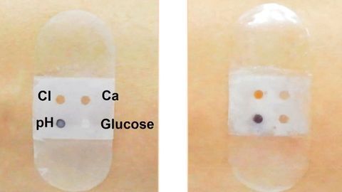 Biosensor Bandage Collects and Analyzes Sweat
